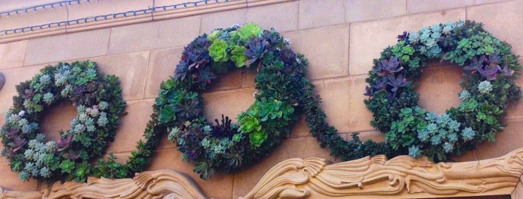 Succulent Wreaths