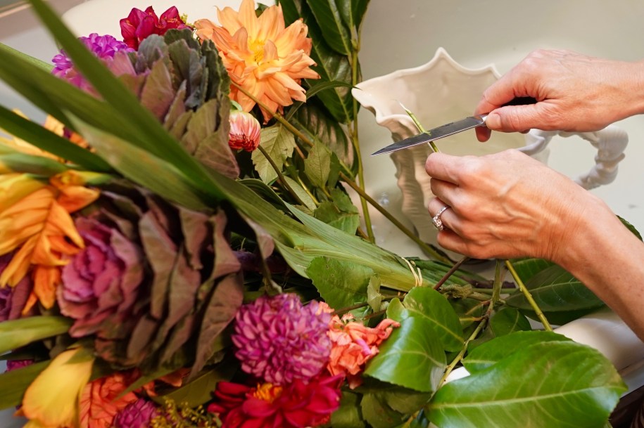 How to cut a flower stem