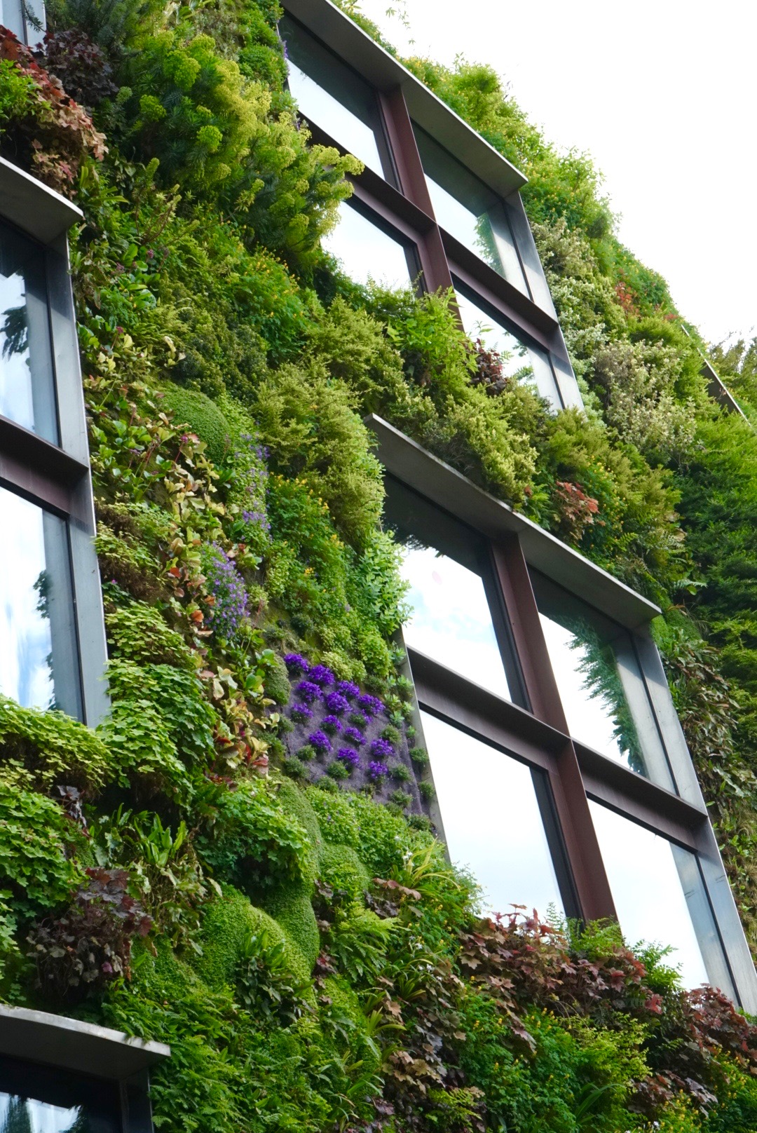 Musee du Quai Branly, Paris ~ Living Wall