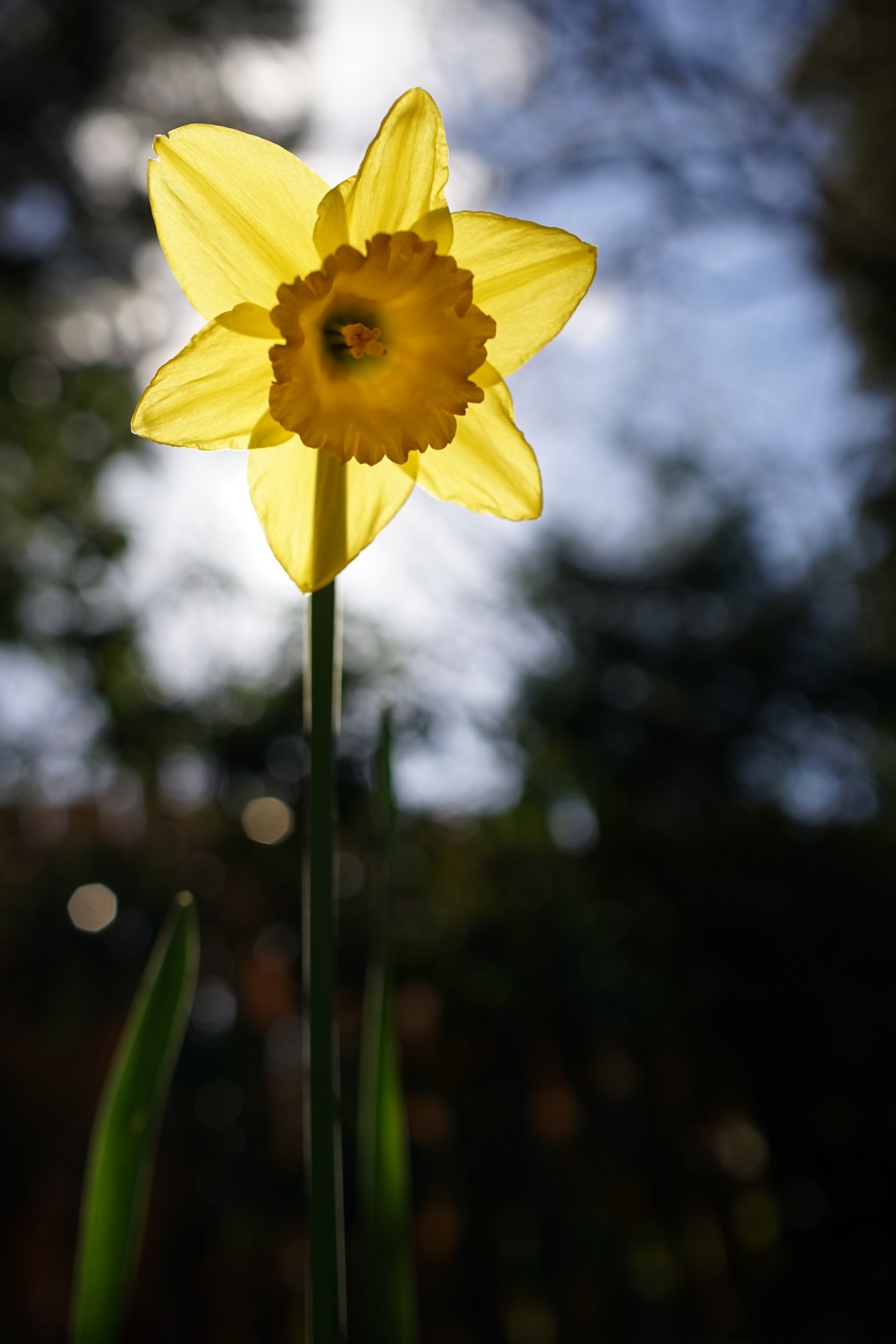 HeyGirlfriend.Net ~ Beauty for the Taking