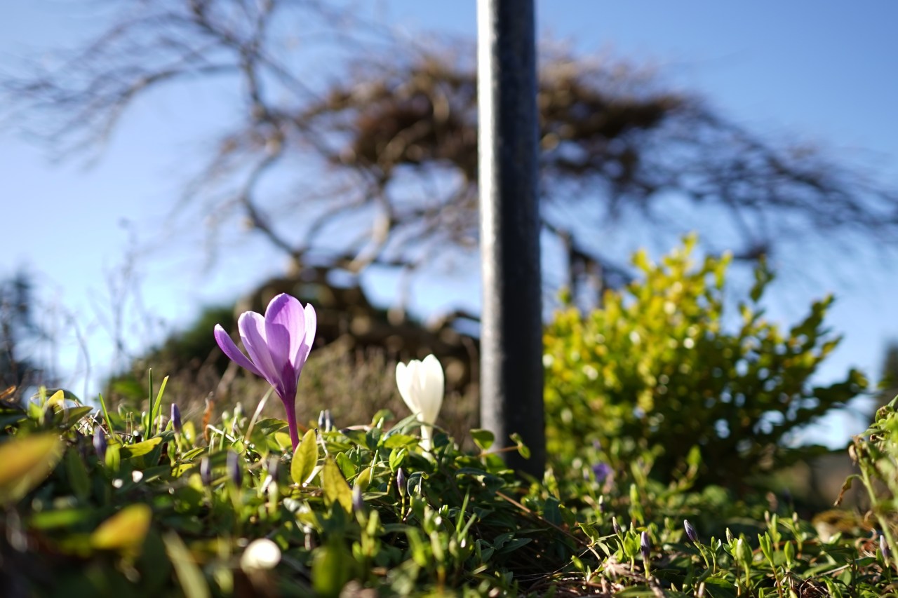 HeyGirlfriend.Net ~ Beauty for the Taking