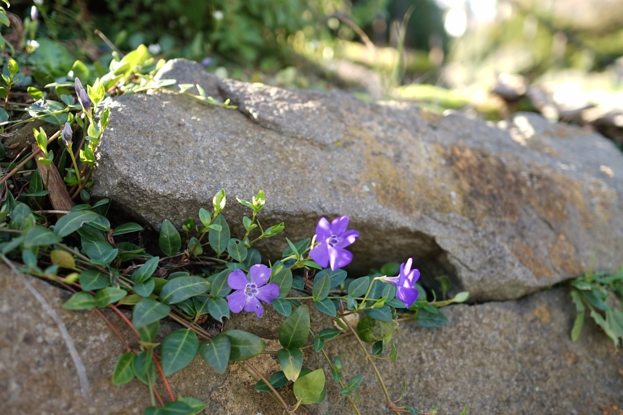 HeyGirlfriend.Net ~ Beauty for the Taking