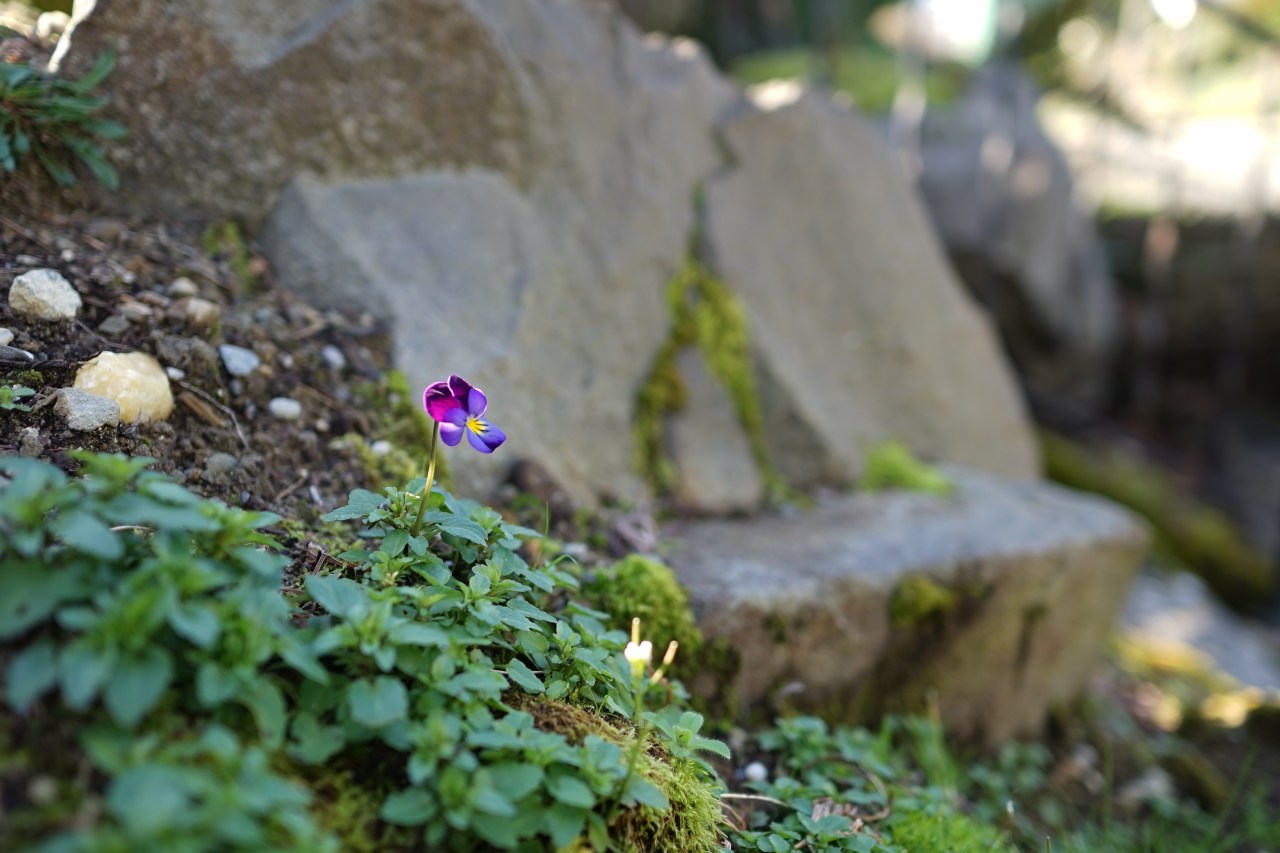 HeyGirlfriend.Net ~ Beauty for the Taking