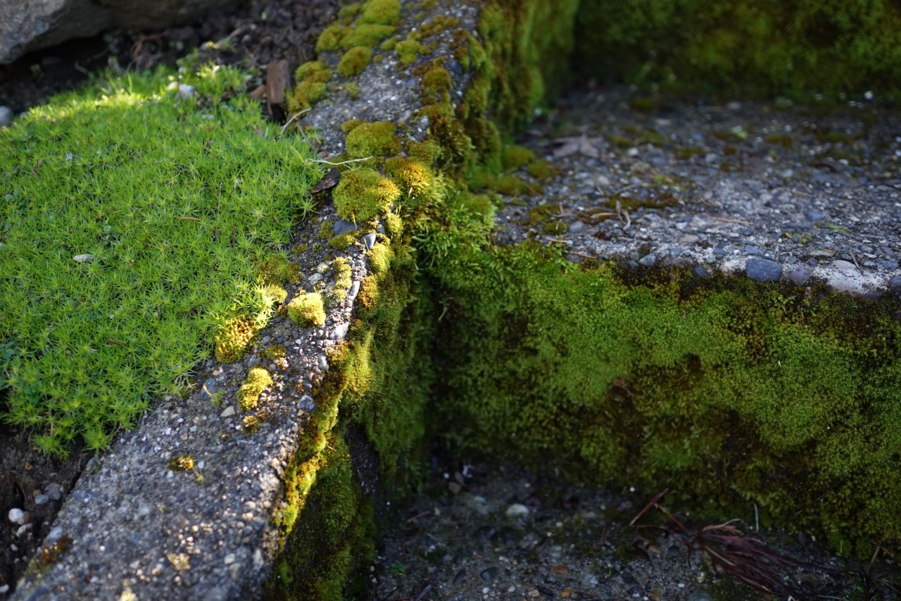 HeyGirlfriend.Net ~ Beauty for the Taking