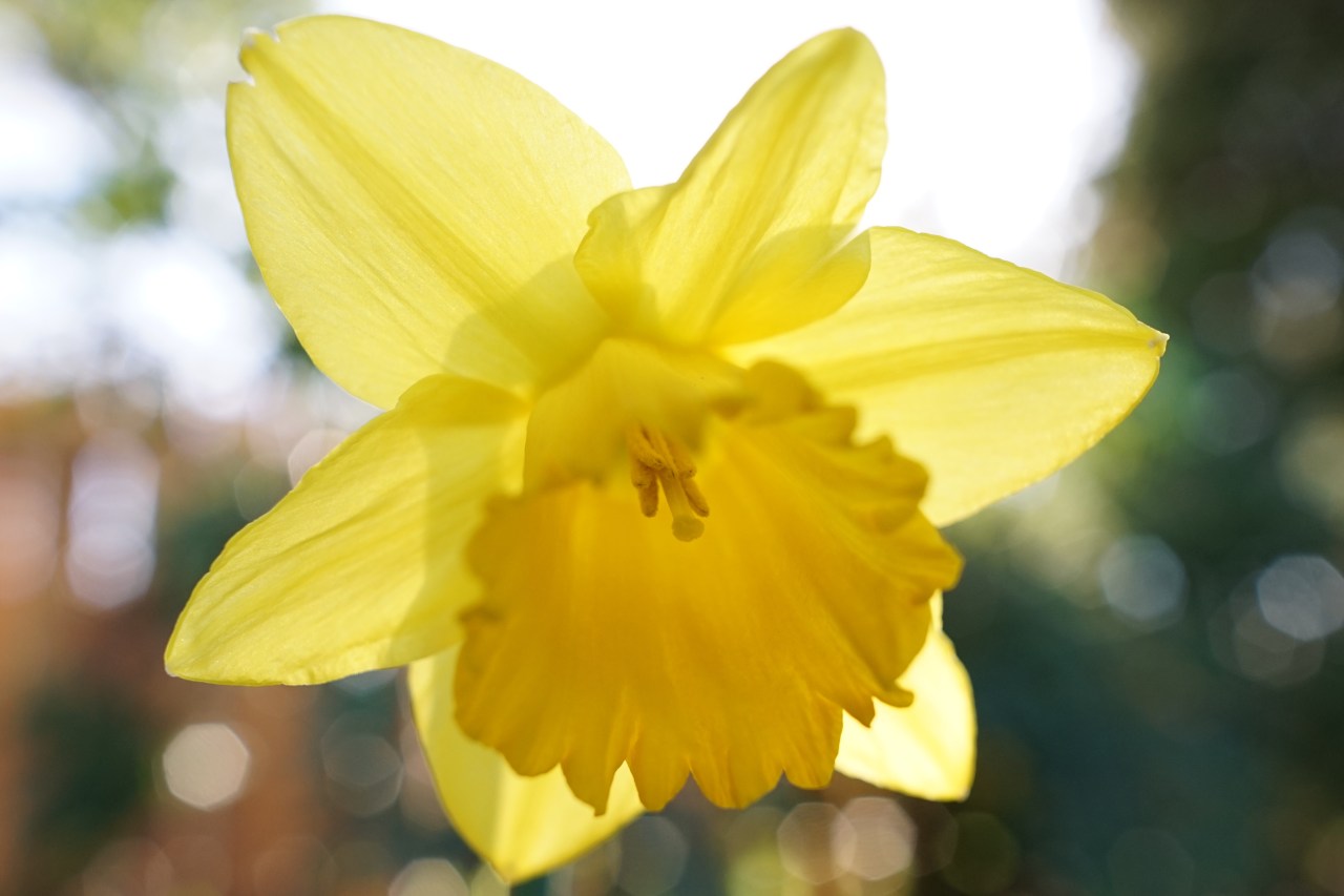 HeyGirlfriend.Net ~ Beauty for the Taking