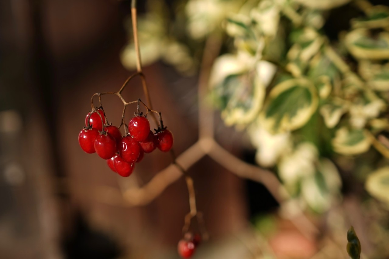 HeyGirlfriend.Net ~ Beauty for the Taking