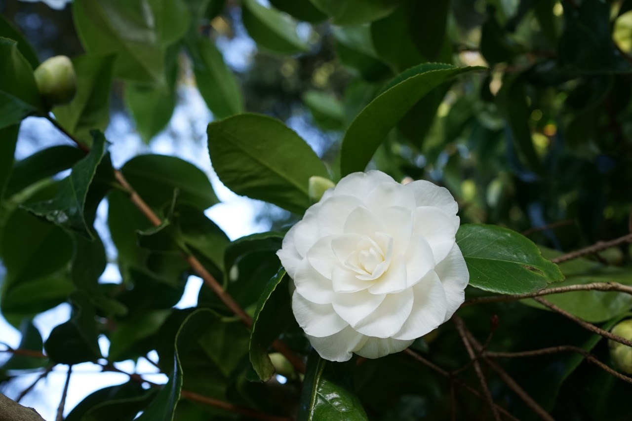 HeyGirlfriend.Net ~ Beauty for the Taking