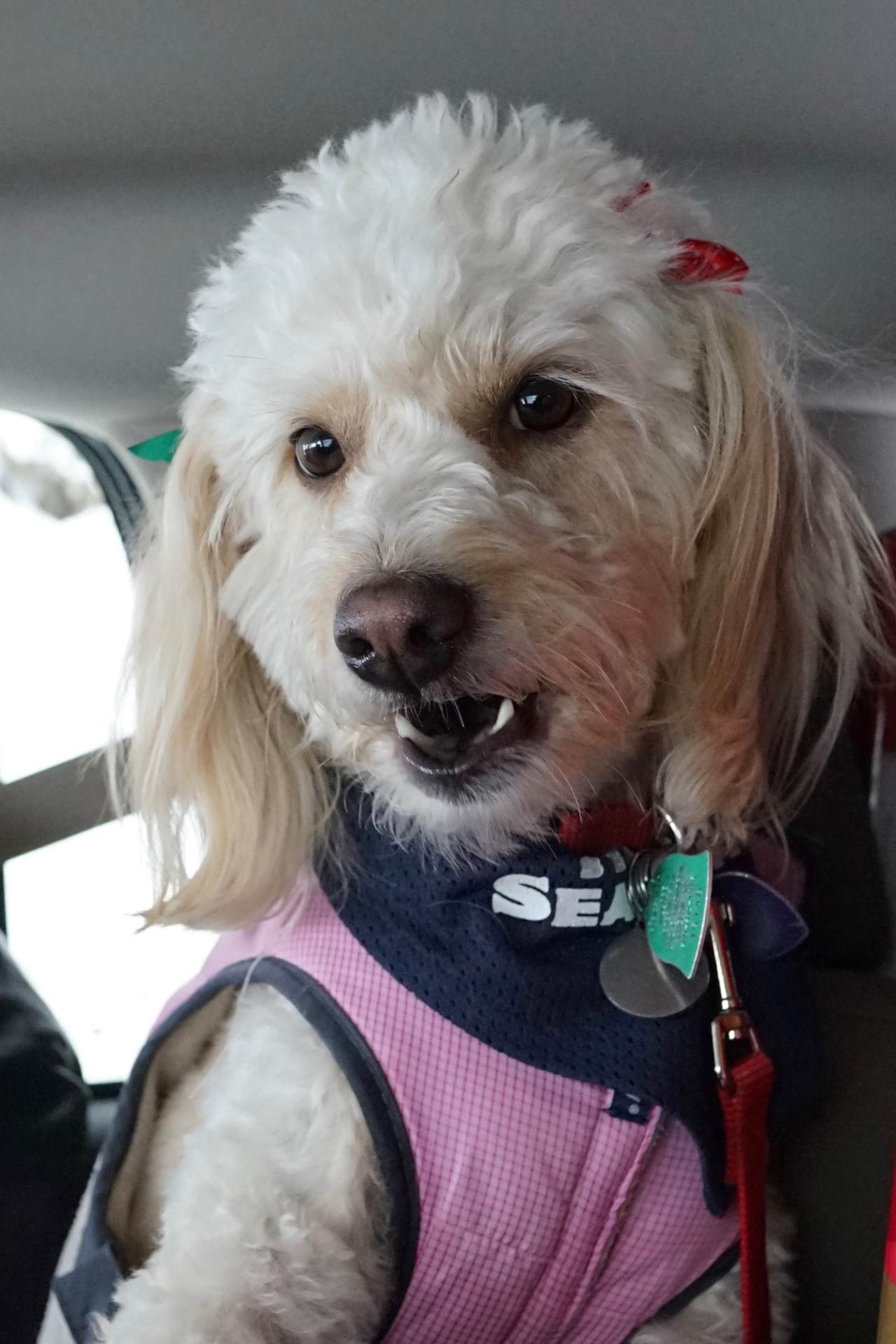 HeyGirlfriend.Net ~ Some Girls Have All the Luck