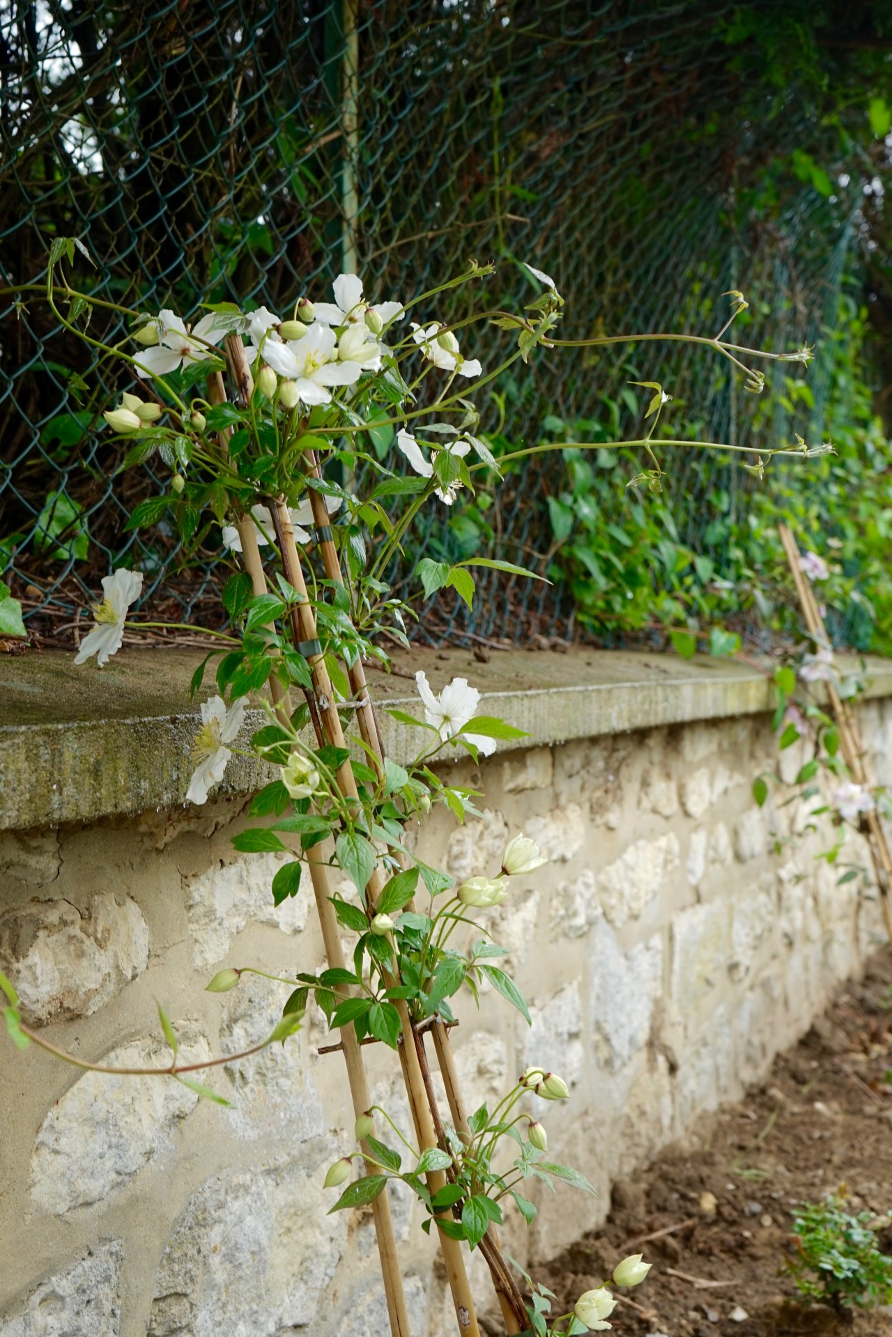 HeyGirlfriend.Net ~ Giverny, France