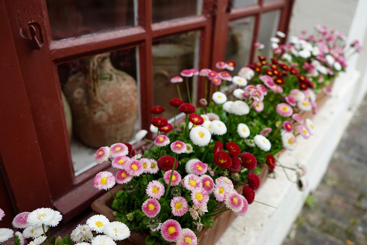 HeyGirlfriend.Net ~ Giverny, France