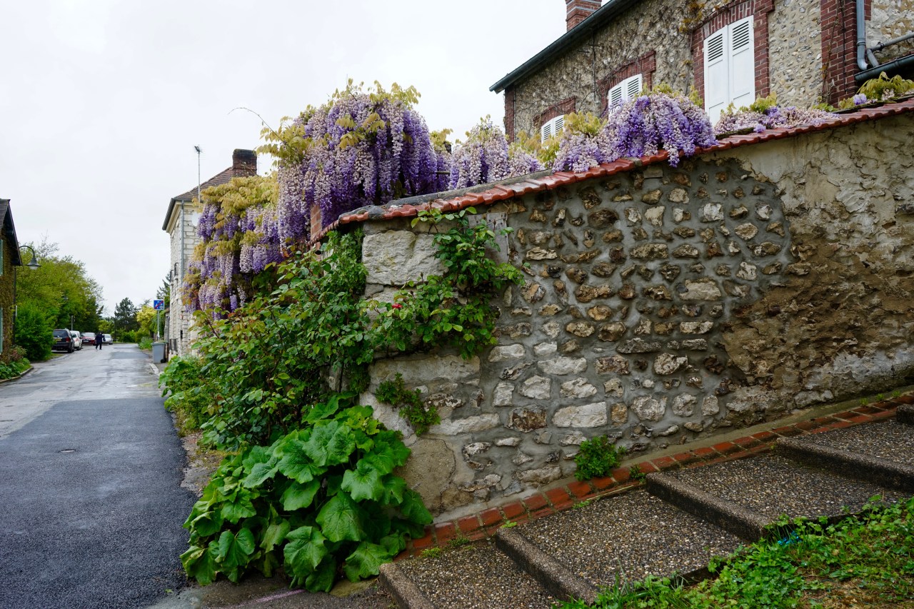 HeyGirlfriend.Net ~ Giverny, France