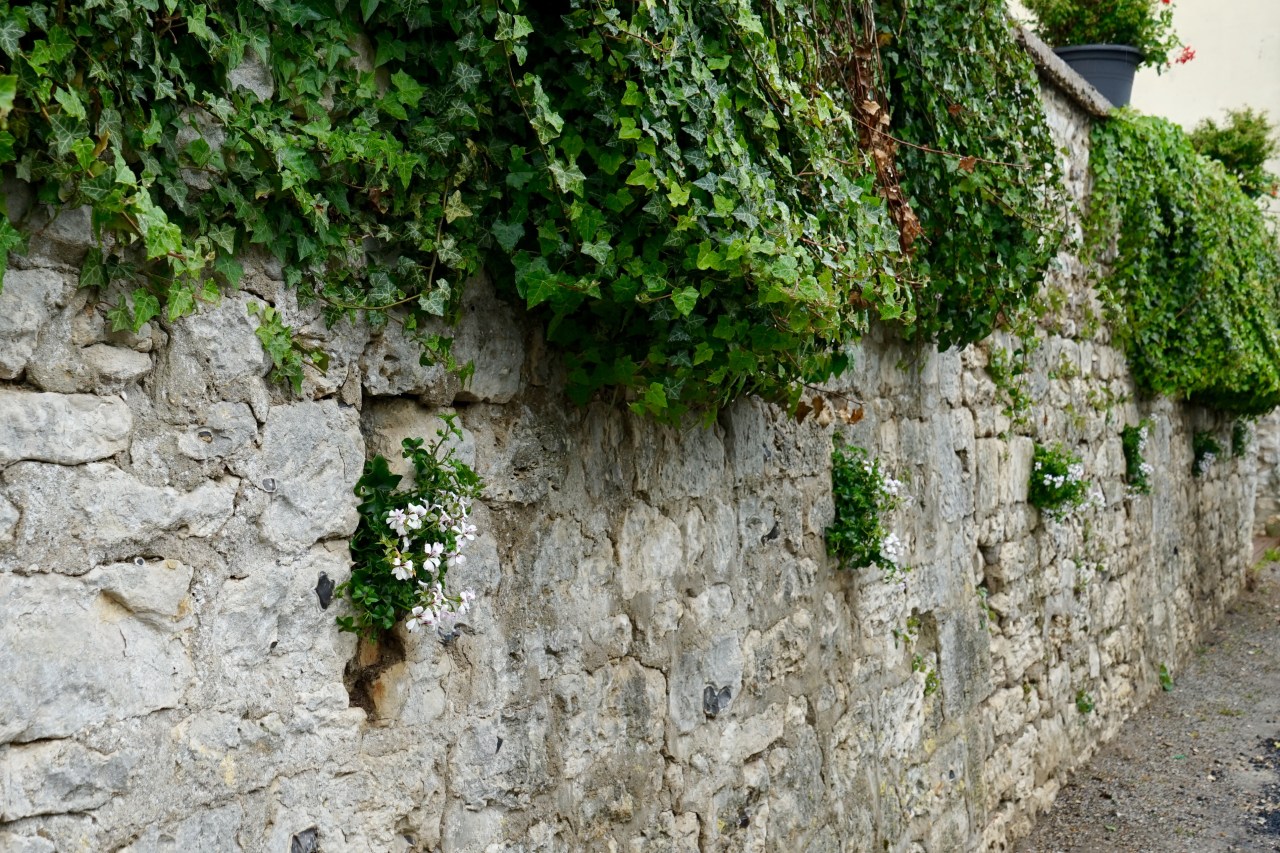 HeyGirlfriend.Net ~ Giverny, France