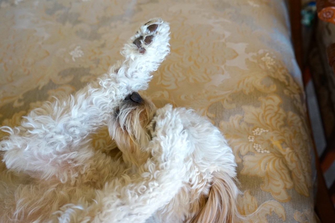 HeyGirlfriend.Net ~ Some Girls Have All the Luck