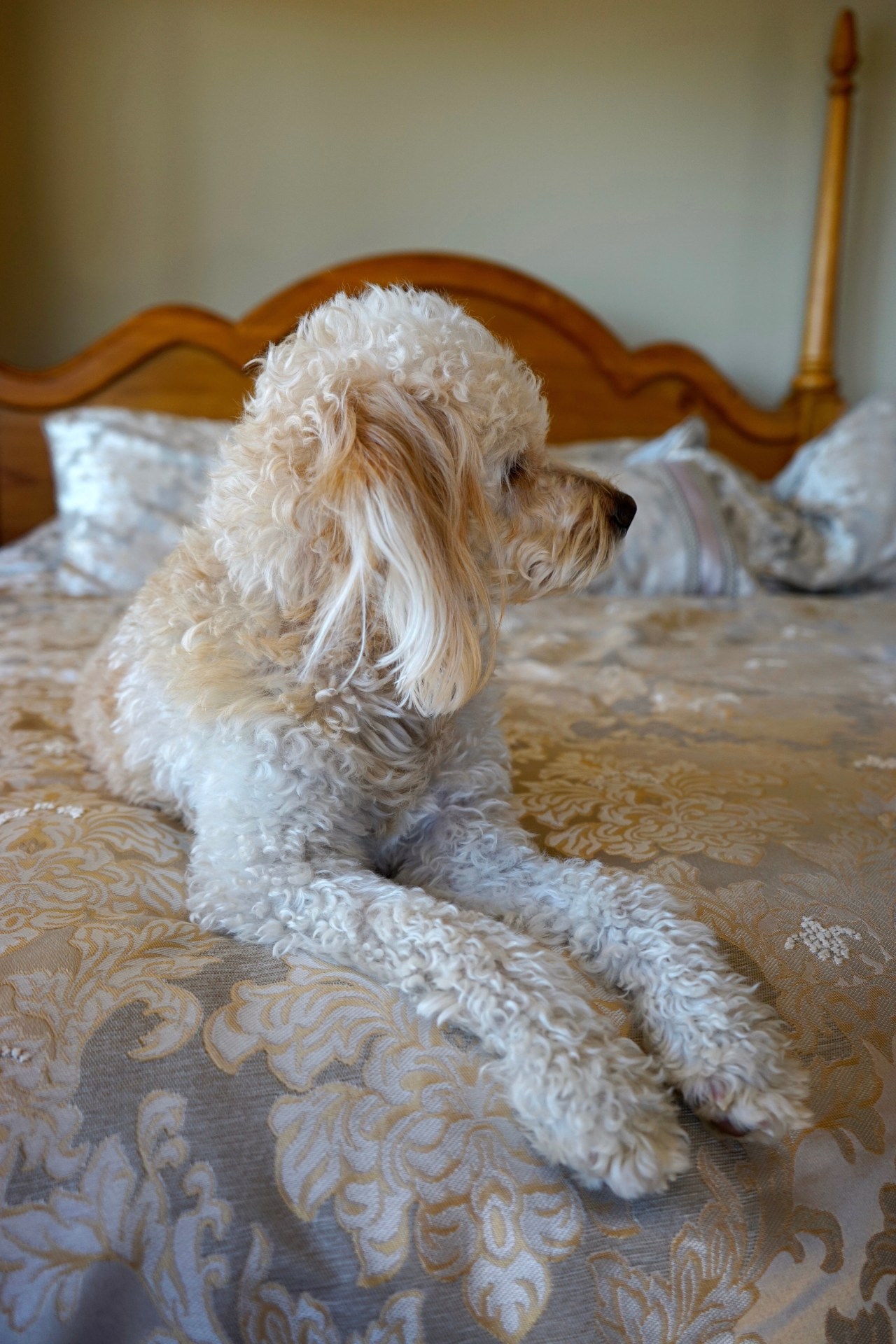 HeyGirlfriend.Net ~ Some Girls Have All the Luck