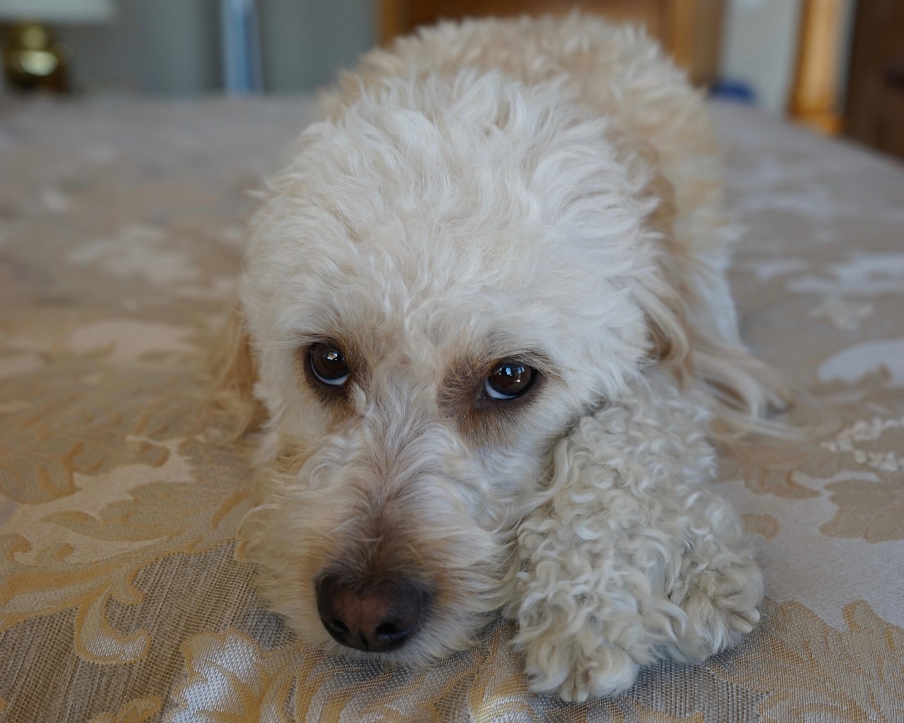 HeyGirlfriend.Net ~ Some Girls Have All the Luck