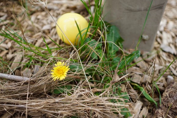 HeyGirlfriend.Net ~ Easter Weekend With Friends