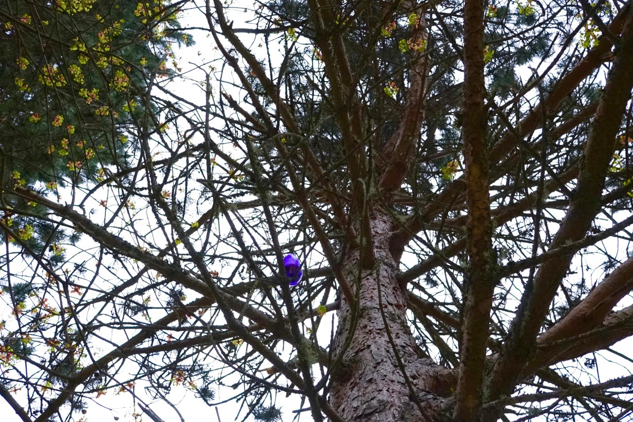 HeyGirlfriend.Net ~ Easter Weekend With Friends