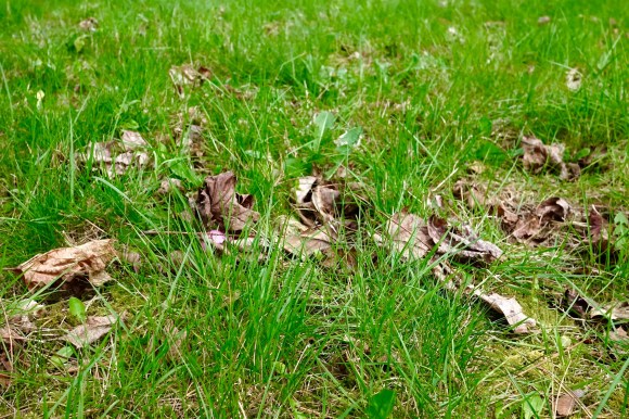 HeyGirlfriend.Net ~ Easter Weekend With Friends