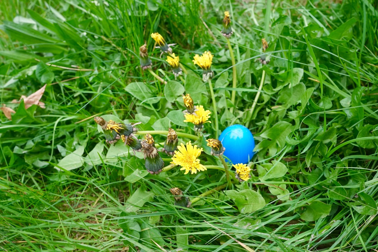 HeyGirlfriend.Net ~ Easter Weekend With Friends