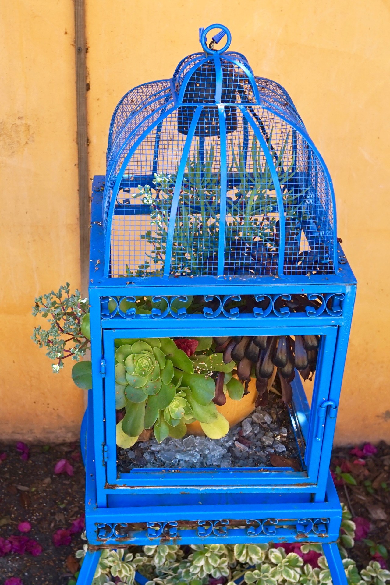 Drought Tolerant Plants ~ Southern California Garden Tour