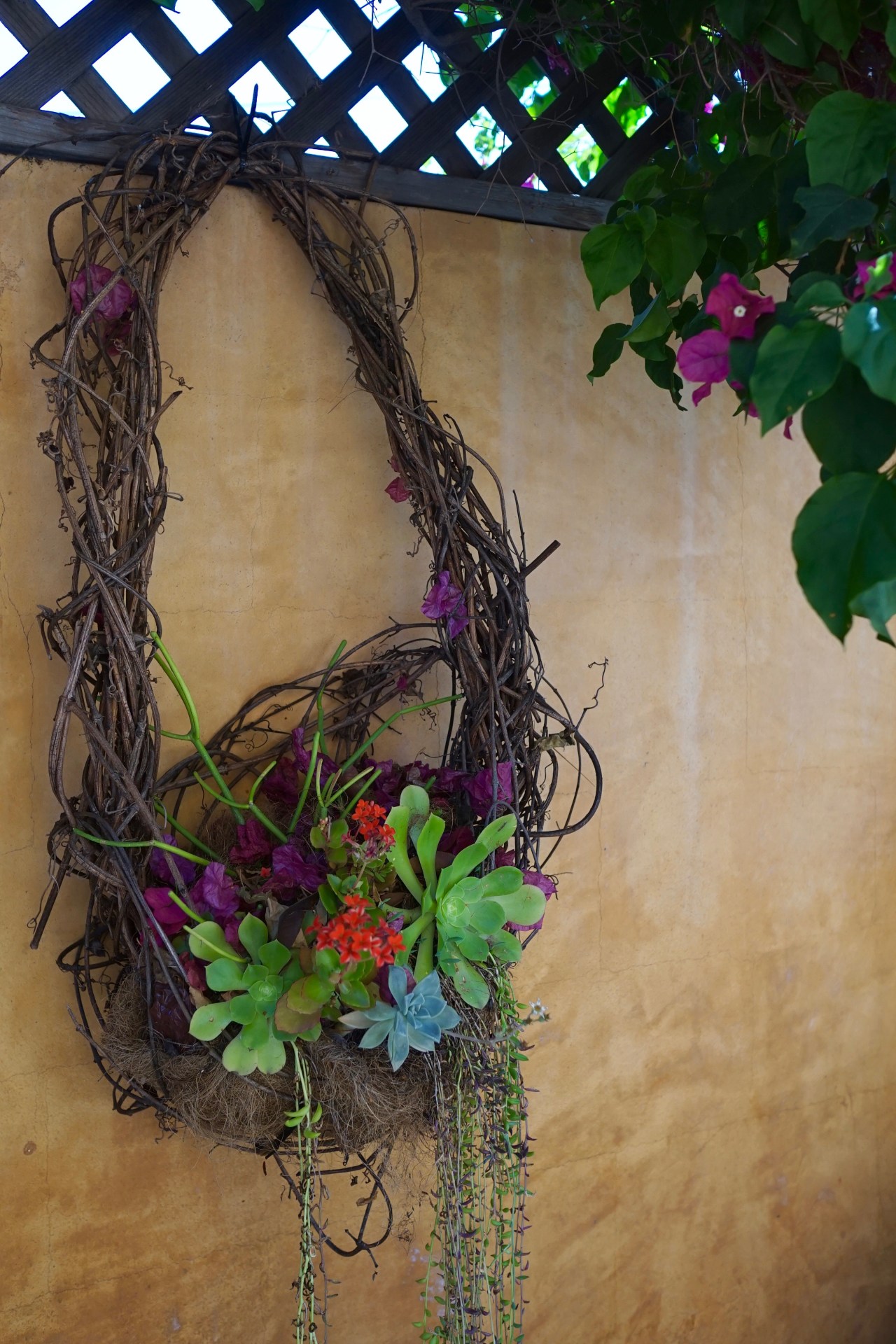 Drought Tolerant Plants ~ Southern California Garden Tour