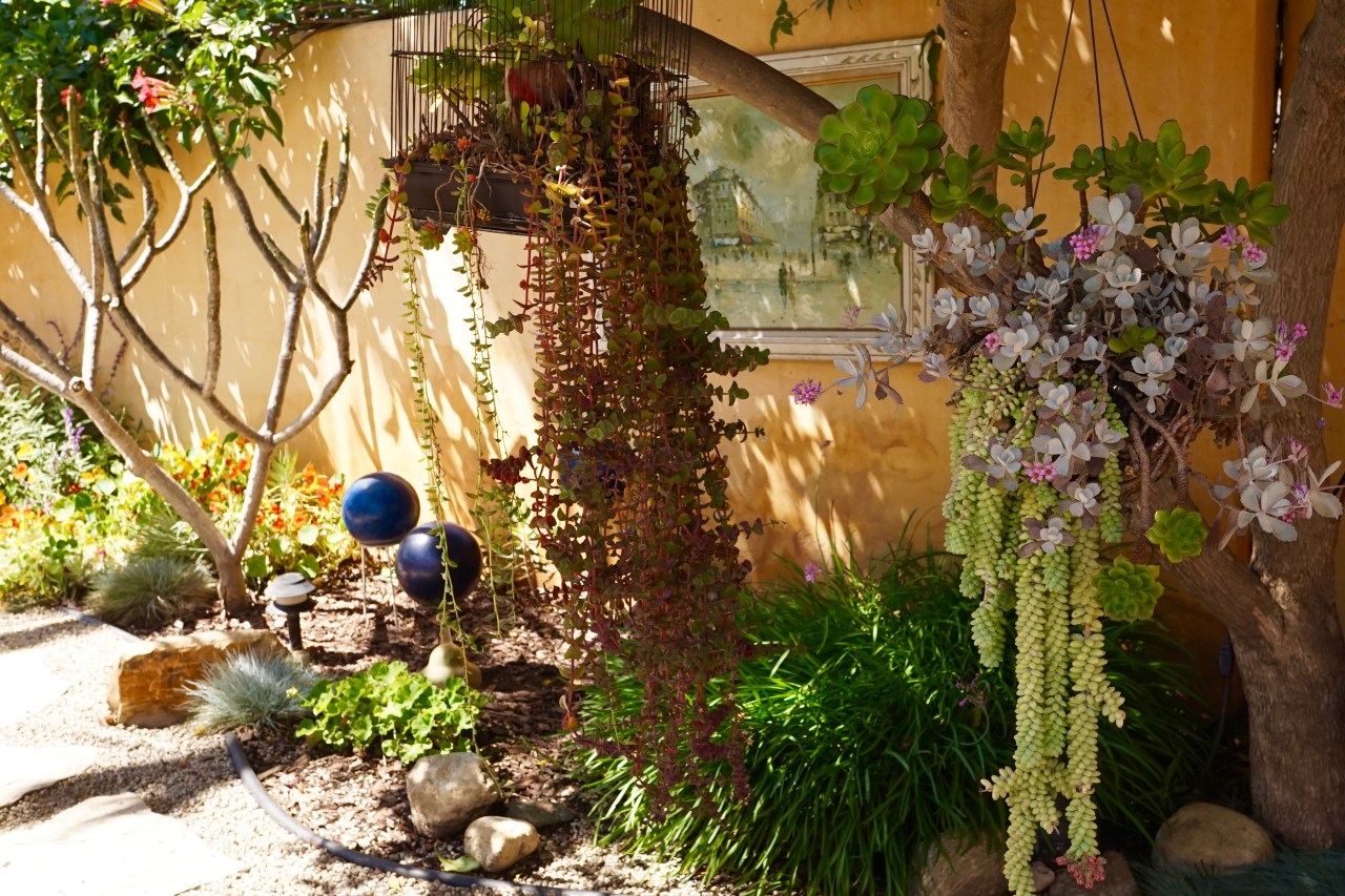 Drought Tolerant Plants ~ Southern California Garden Tour