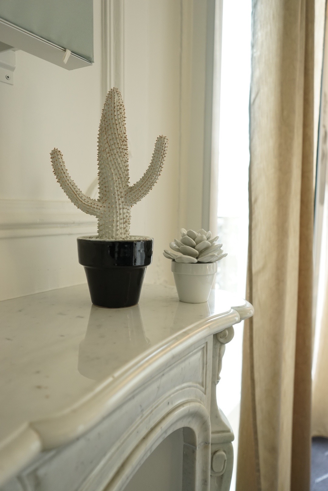 HeyGirlfriend.Net ~ Happy Cacti