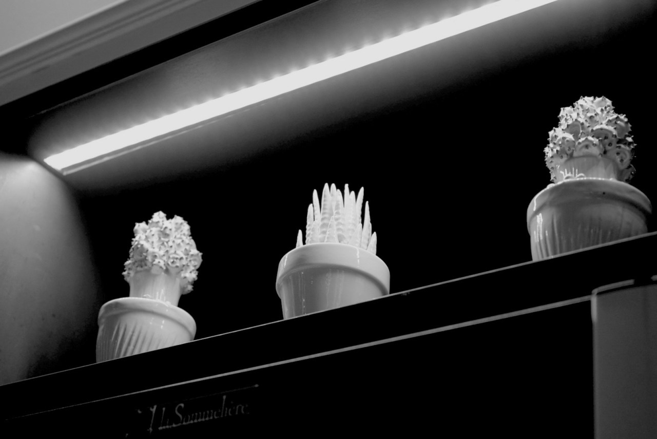 HeyGirlfriend.Net ~ Happy Cacti