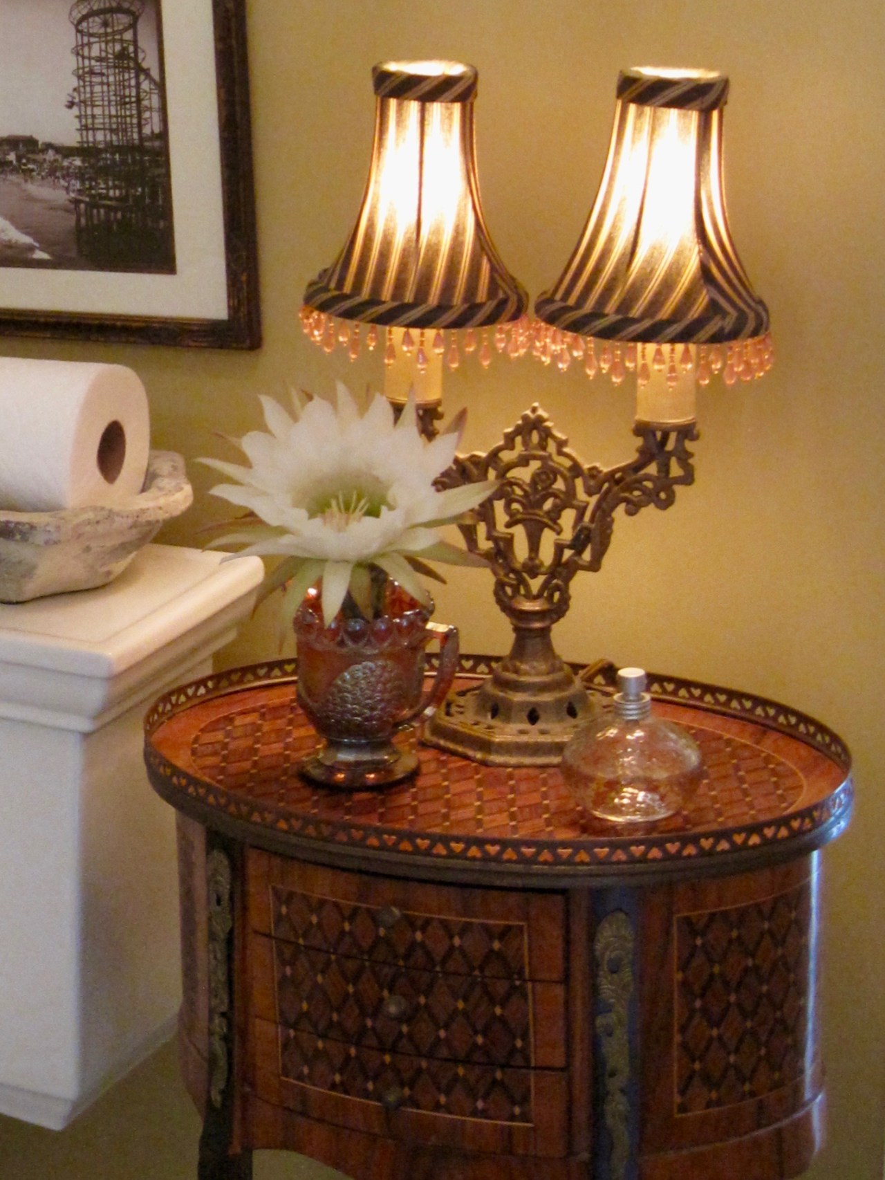 HeyGirlfriend.Net ~ Happy Cacti