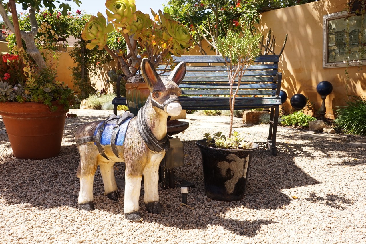 Quirky Southern California Garden Tour