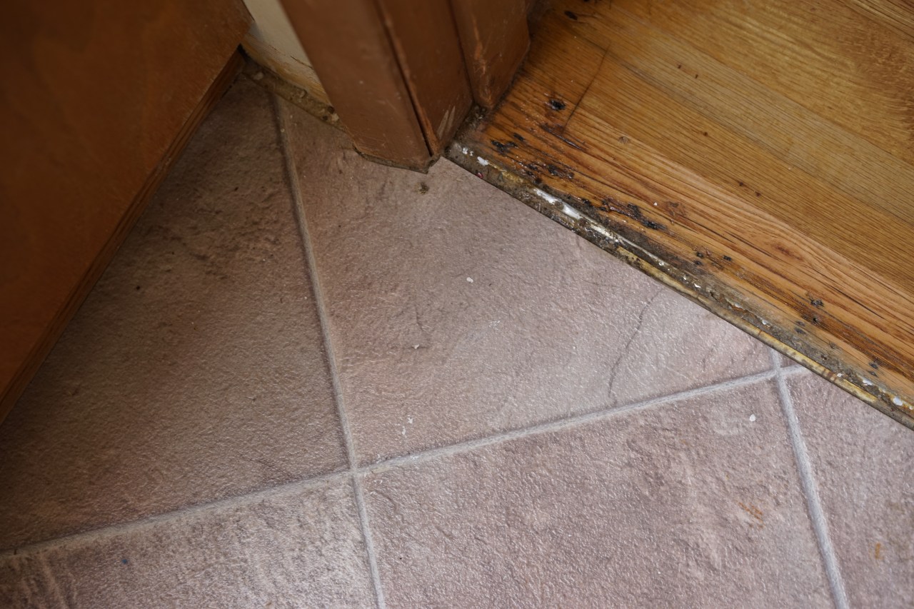 Rental-House-Disaster-Bathroom